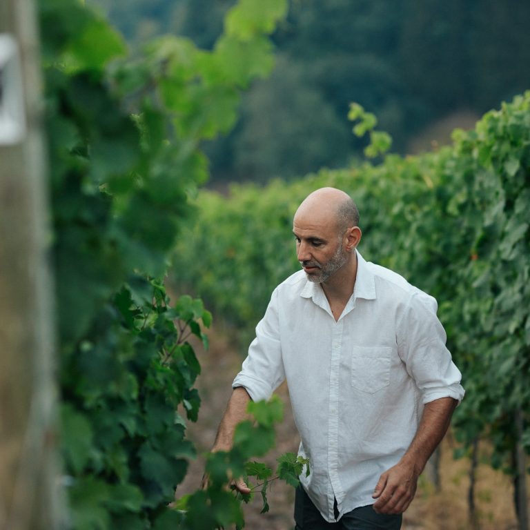 Florian Lauer vineyard